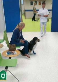 Tarkett & Sathis by Flooring International